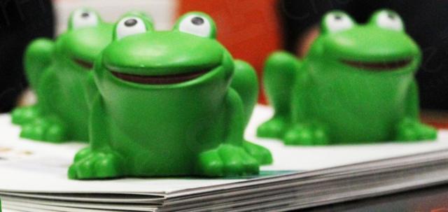 https://d1hcs5uofxldvl.cloudfront.net/chair-hire/article_additional/business-show-exhibition6/business-show-exhibition6-740x350.jpg - Frogs make it to the Business Show